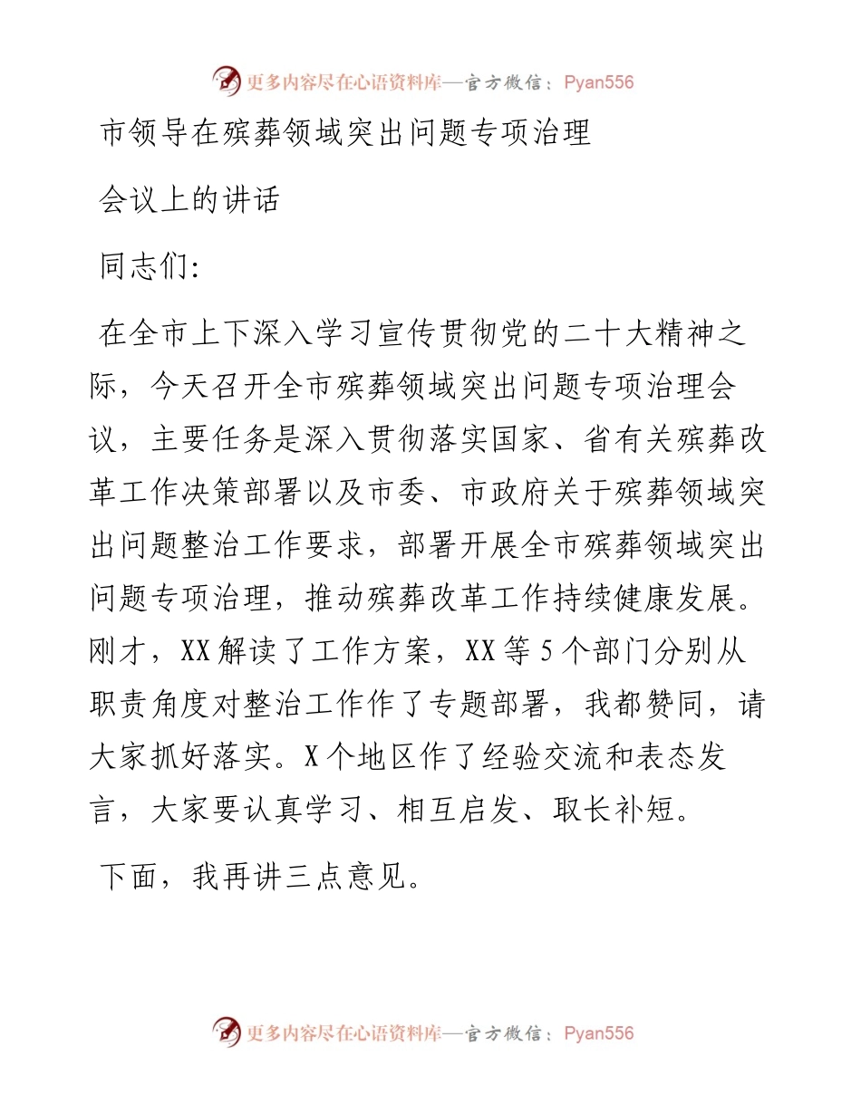 市领导在殡葬领域突出问题专项治理会议上的讲话.docx_第1页
