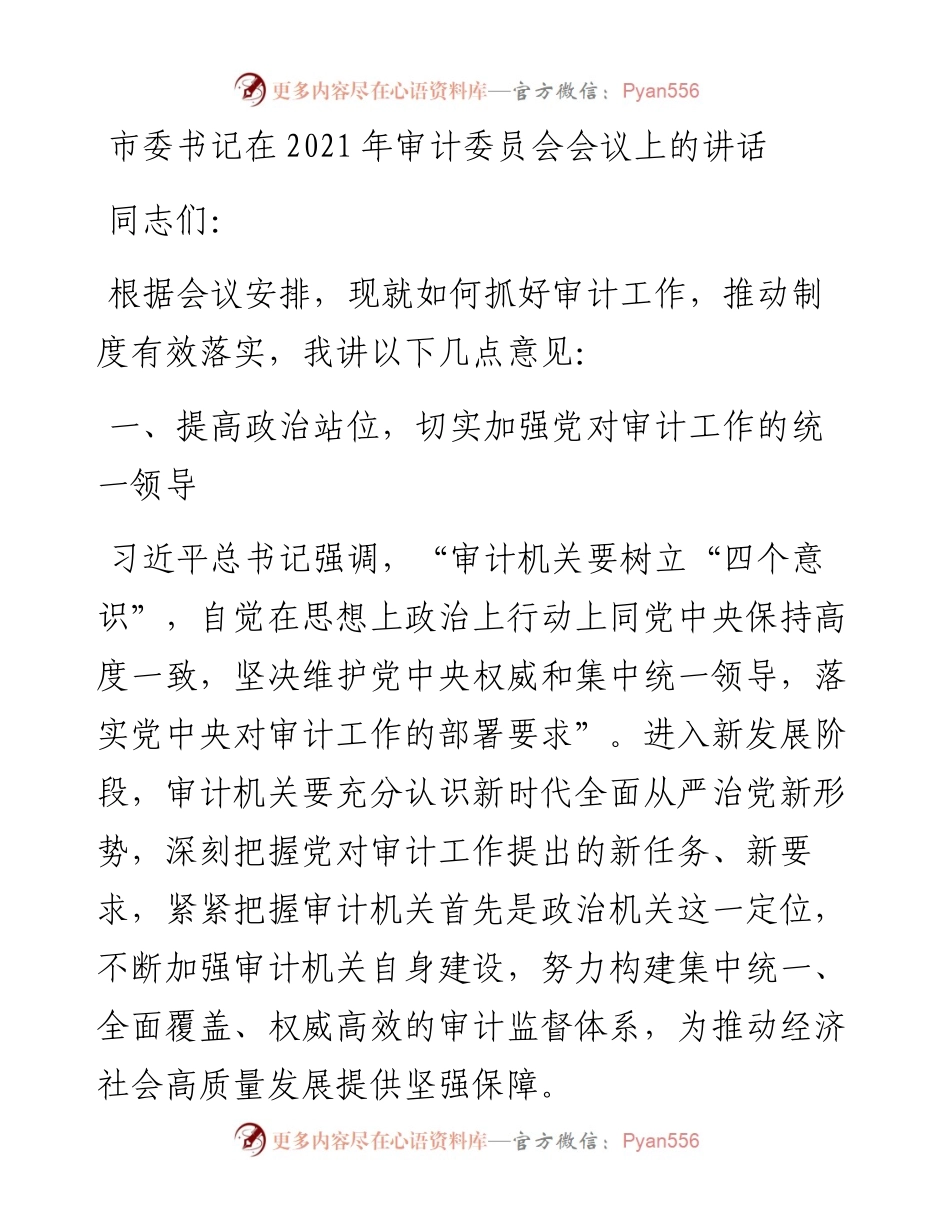 市委书记在审计委员会会议上的讲话发言材料(1).docx_第1页