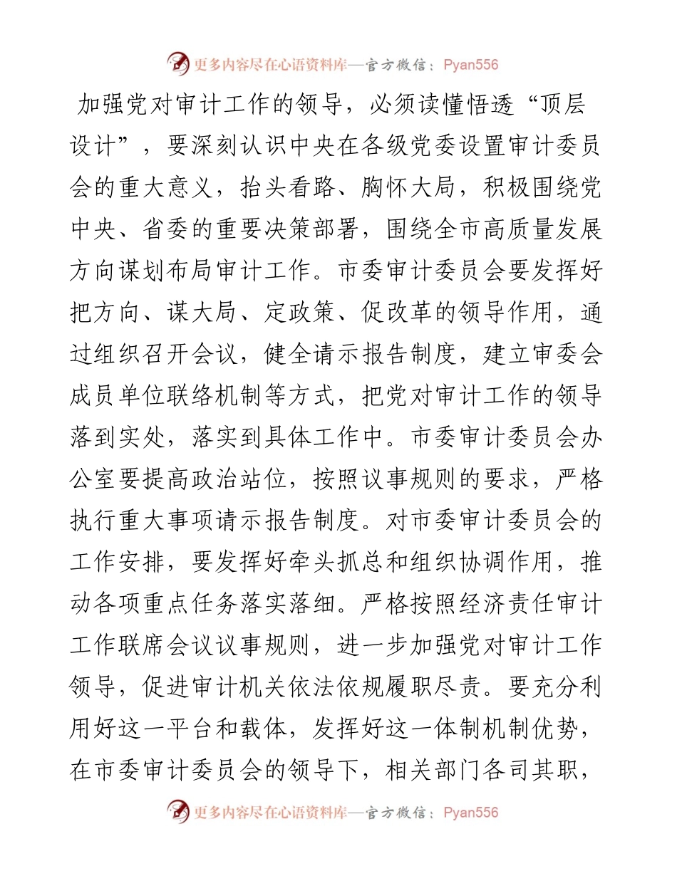 市委书记在审计委员会会议上的讲话发言材料(1).docx_第2页