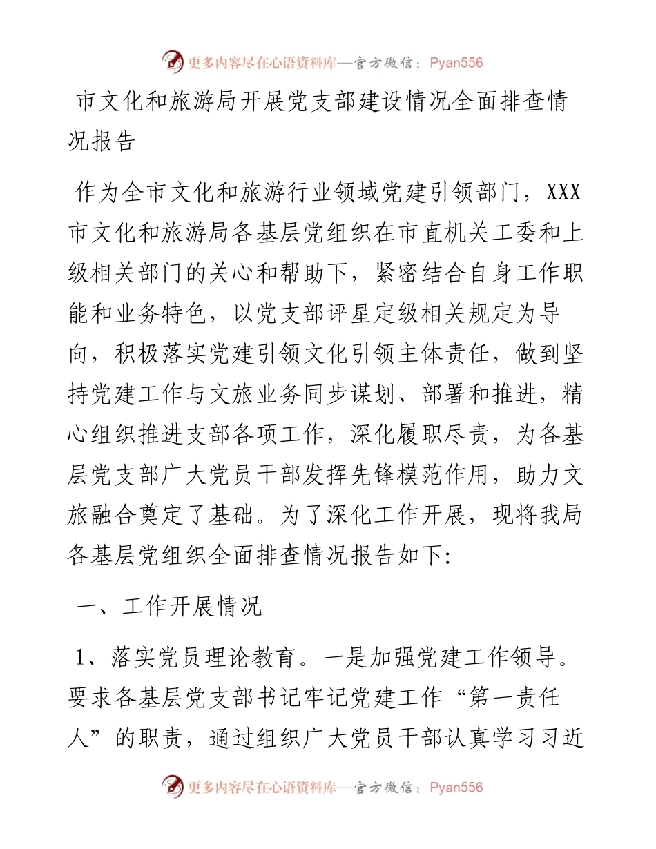 市文化和旅游局开展党支部建设情况全面排查情况报告.docx_第1页