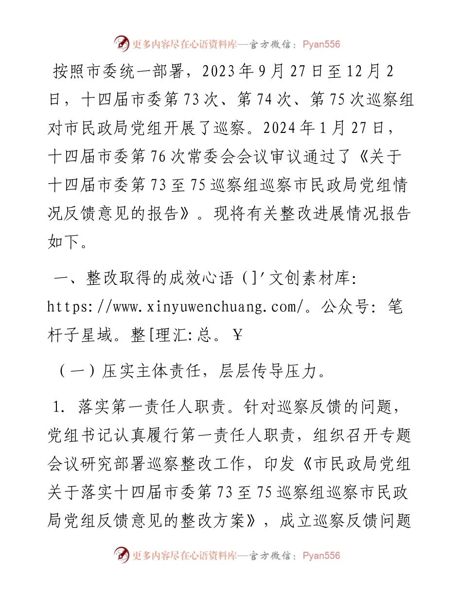市民政局2024年巡察整改进展情况工作报告.docx_第1页