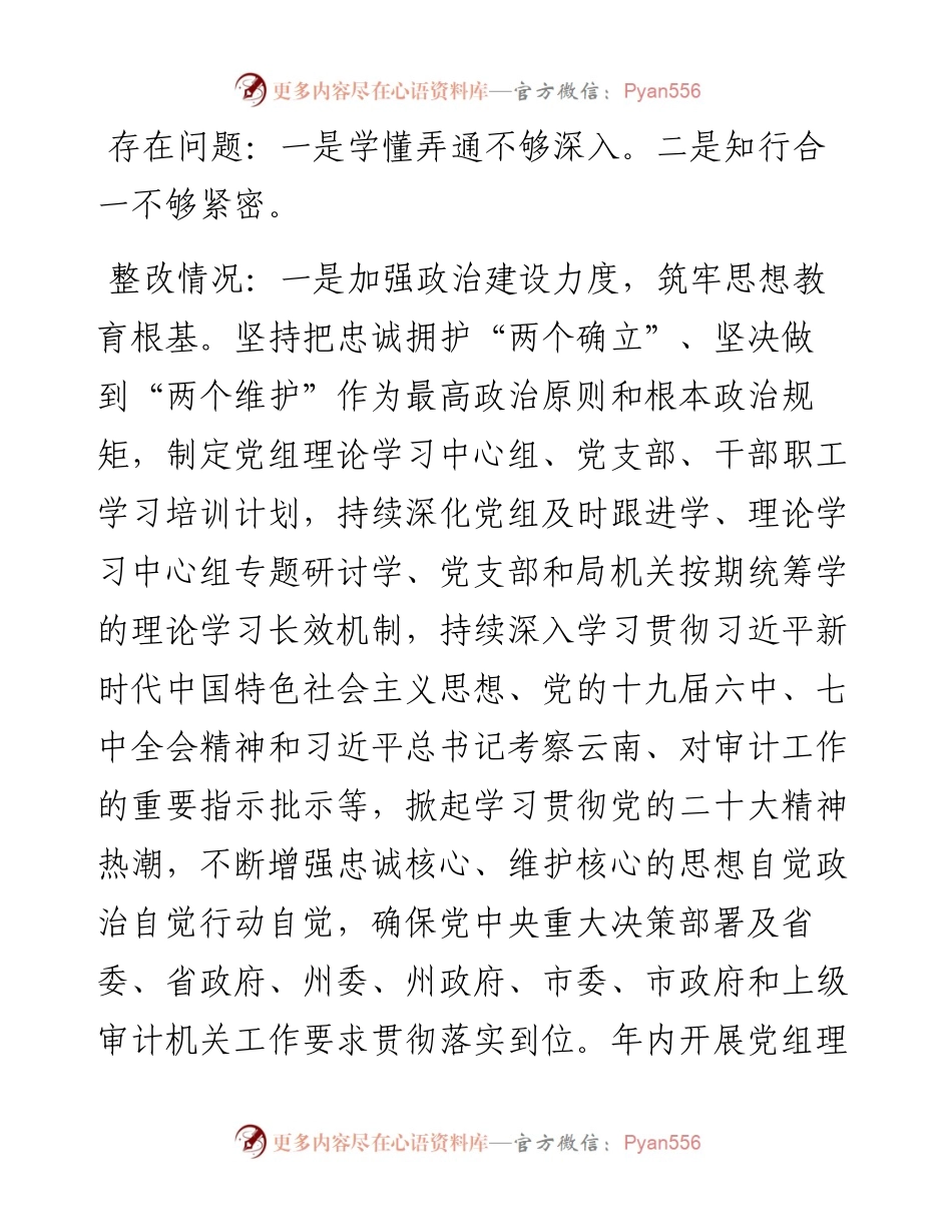 市审计局领导班子党史学习教育专题民主生活会整改情况报告.docx_第2页