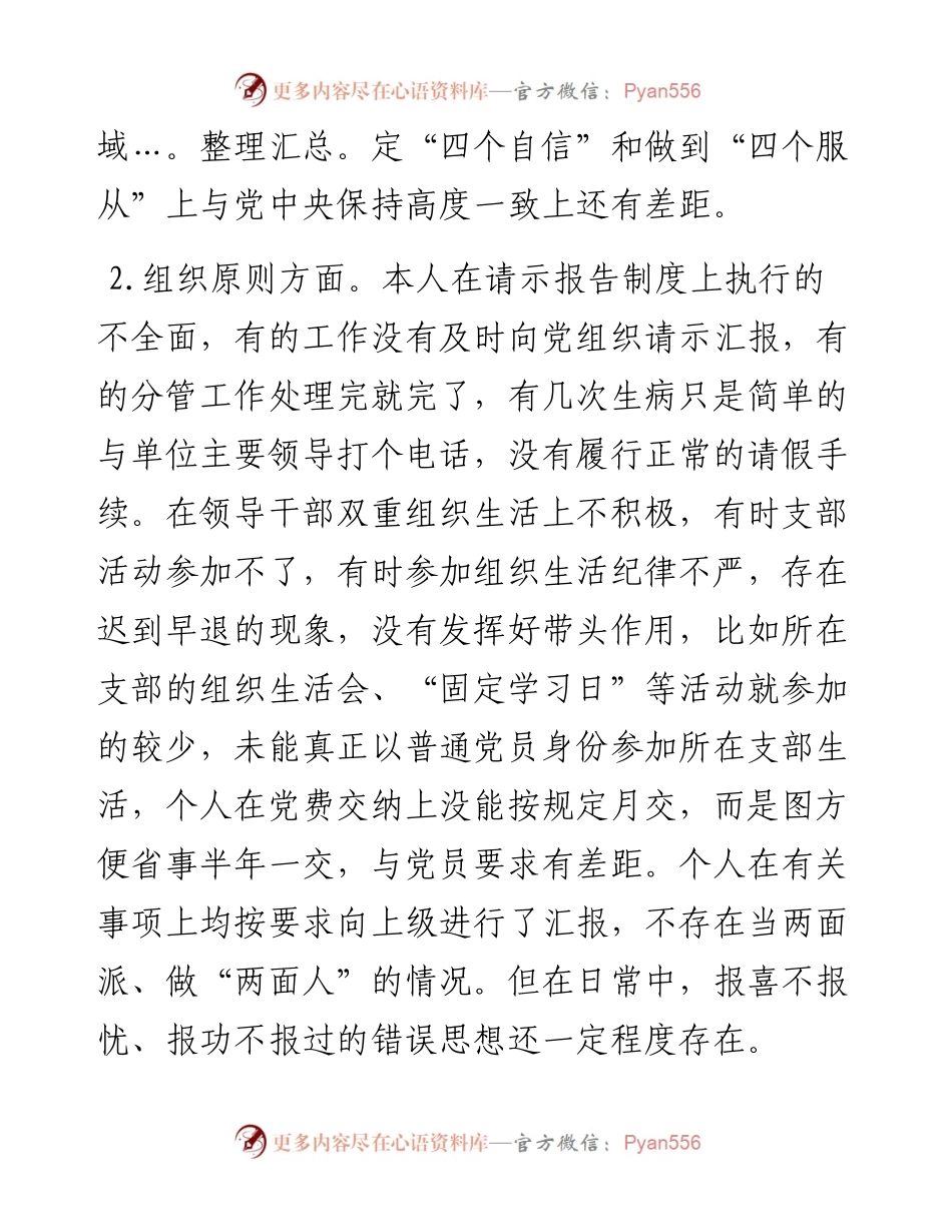 度分管局长个人检视剖析材料.docx_第2页