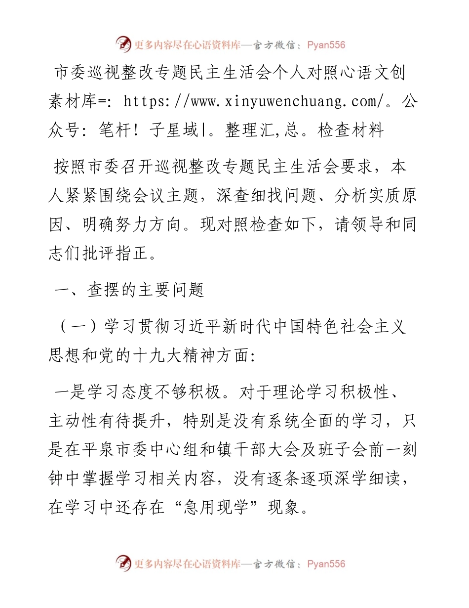 市委巡视整改专题民主生活会个人对照检查材料.docx_第1页