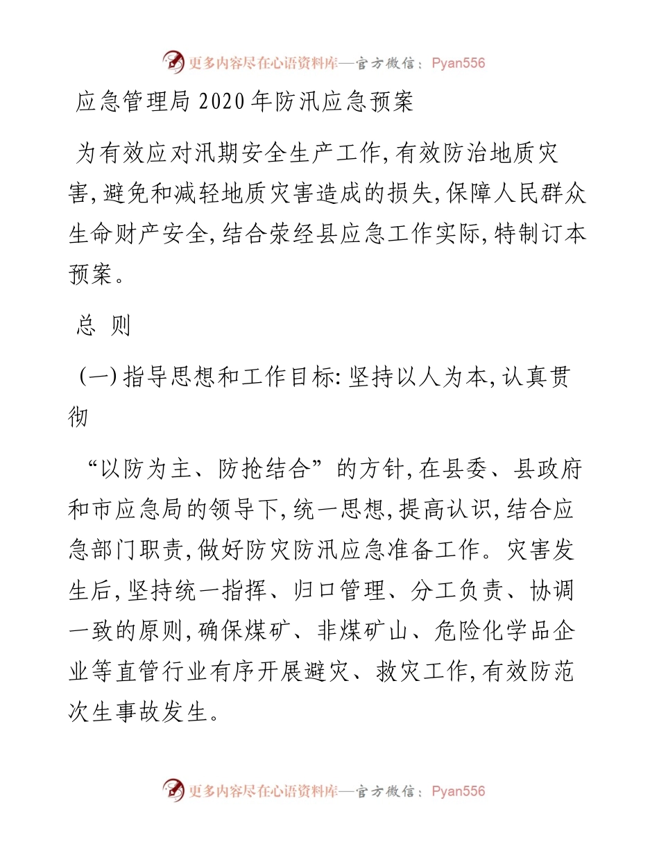 应急管理局防汛应急预案.docx_第1页