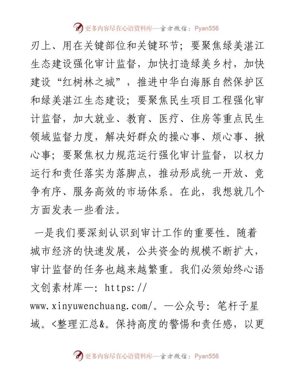 市长在全市审计工作会议上的讲话.docx_第2页