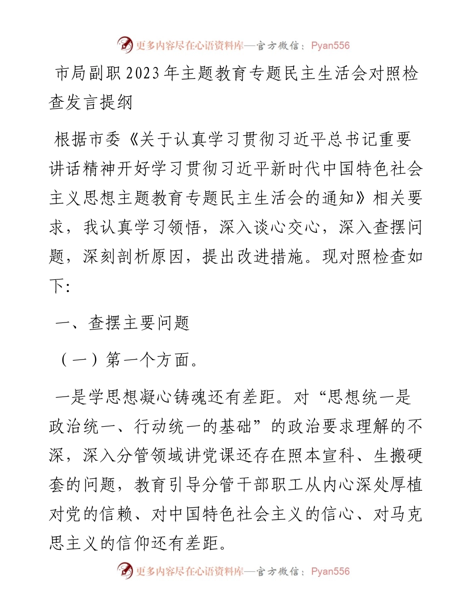 市局副职2023年主题教育专题民主生活会对照检查发言提纲.docx_第1页