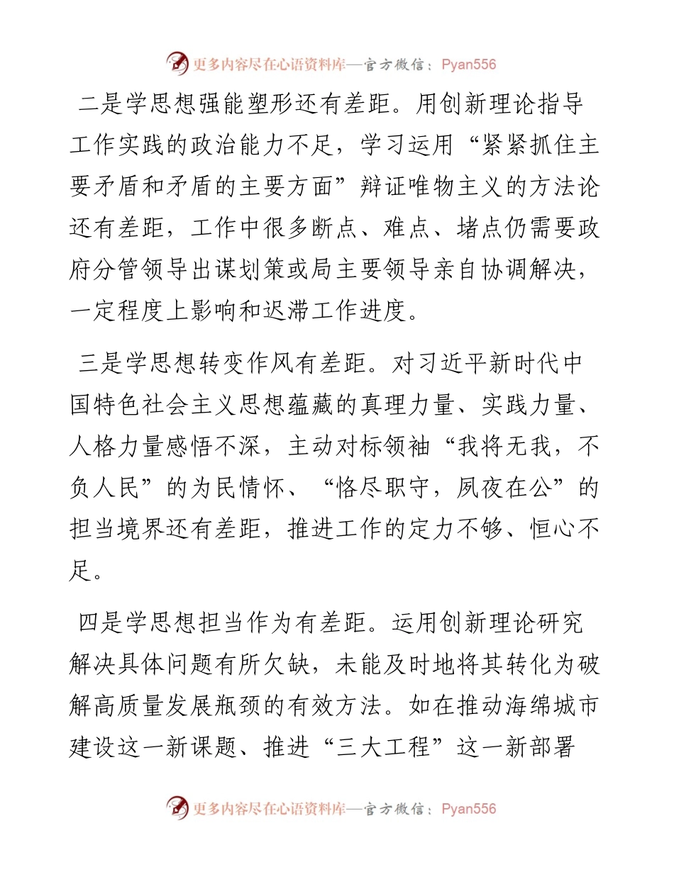 市局副职2023年主题教育专题民主生活会对照检查发言提纲.docx_第2页