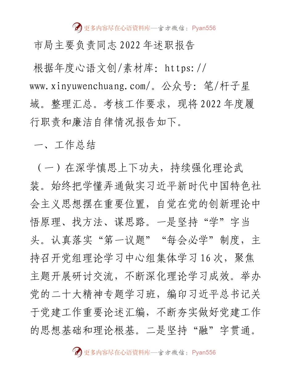 市局主要负责同志述职报告.docx_第1页