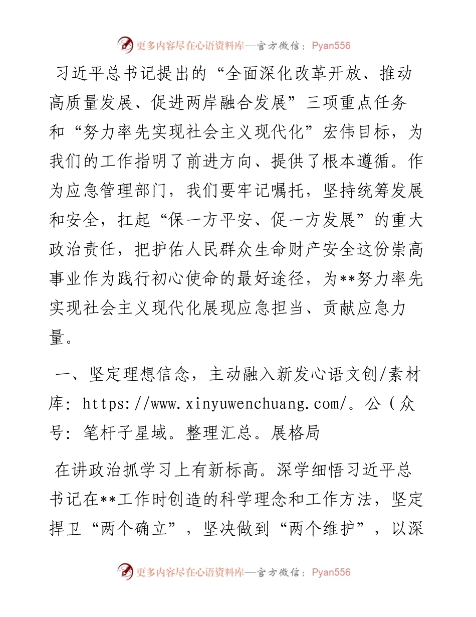 座谈发言：勇立潮头勇毅前行以高水平安全保障服务高质量发展.docx_第1页