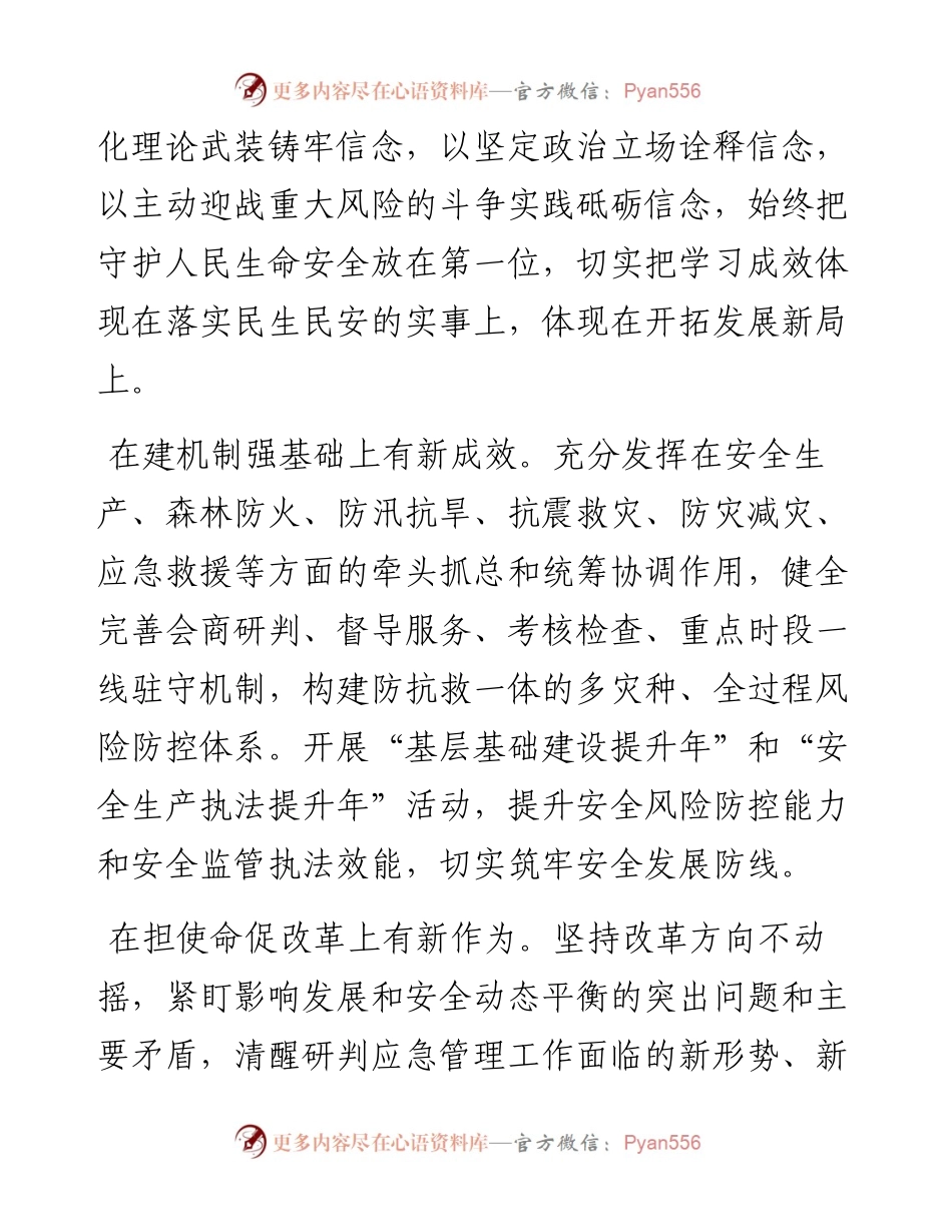 座谈发言：勇立潮头勇毅前行以高水平安全保障服务高质量发展.docx_第2页