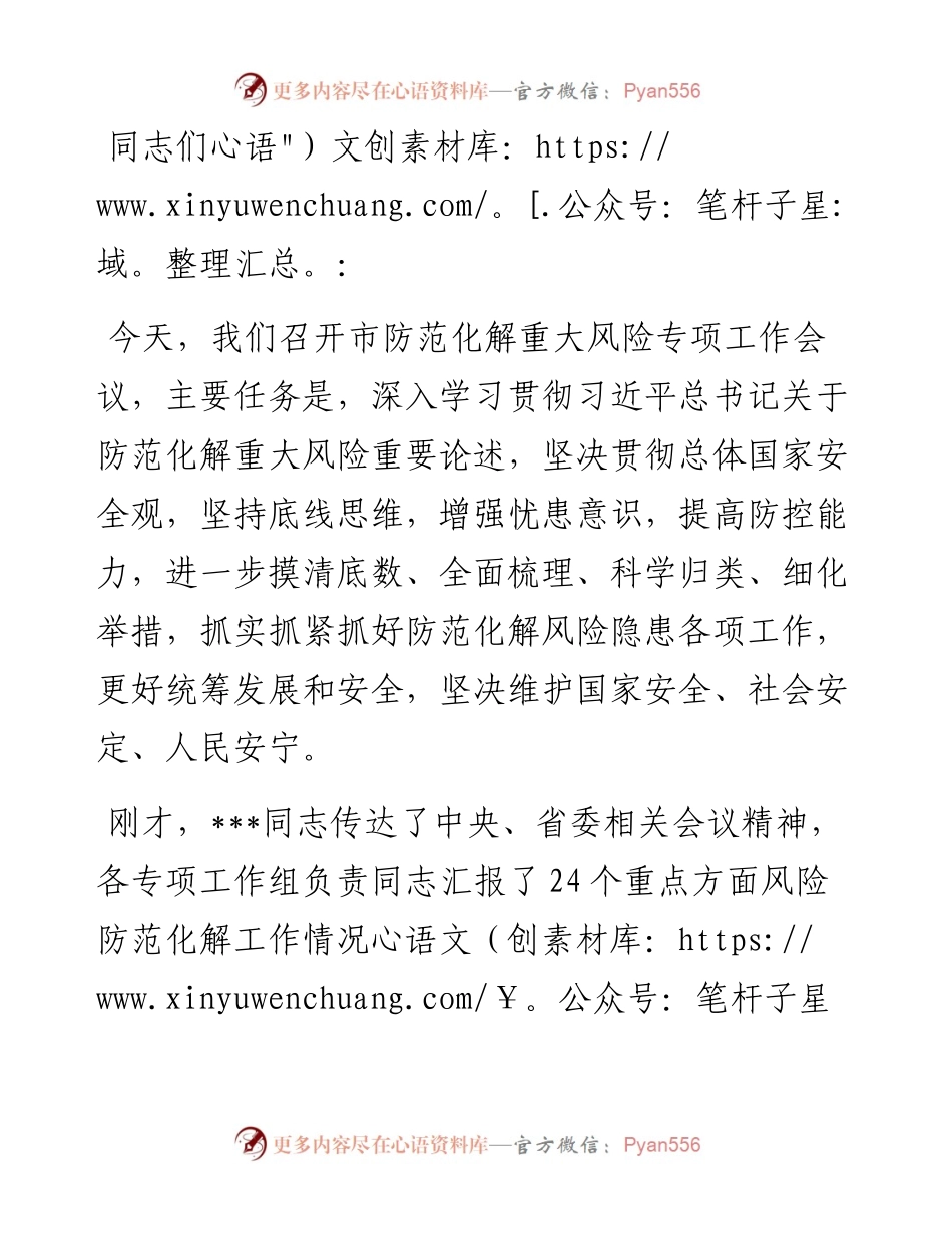市防范化解重大风险专项工作会议总结讲话提纲.docx_第1页