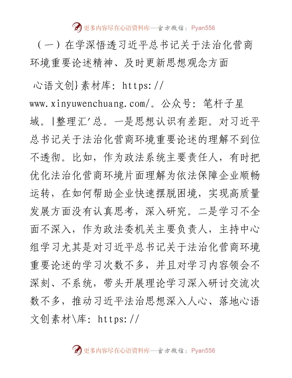 政法机关“优化法治化营商环境、服务保障高质量发展”大讨论活动对照检视材料发言.docx_第2页
