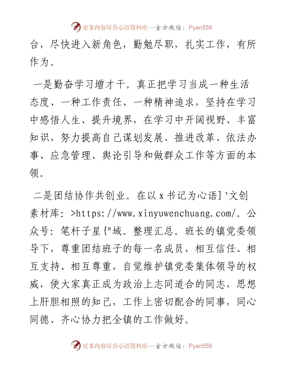 政府系统任职讲话：新提拔镇长就任表态发言.docx_第2页