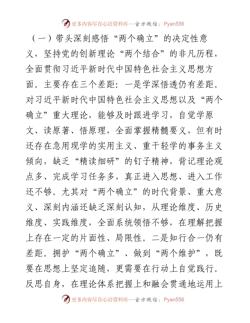 市政府党组成员党史学习教育专题民主生活会对照检查材料.docx_第2页
