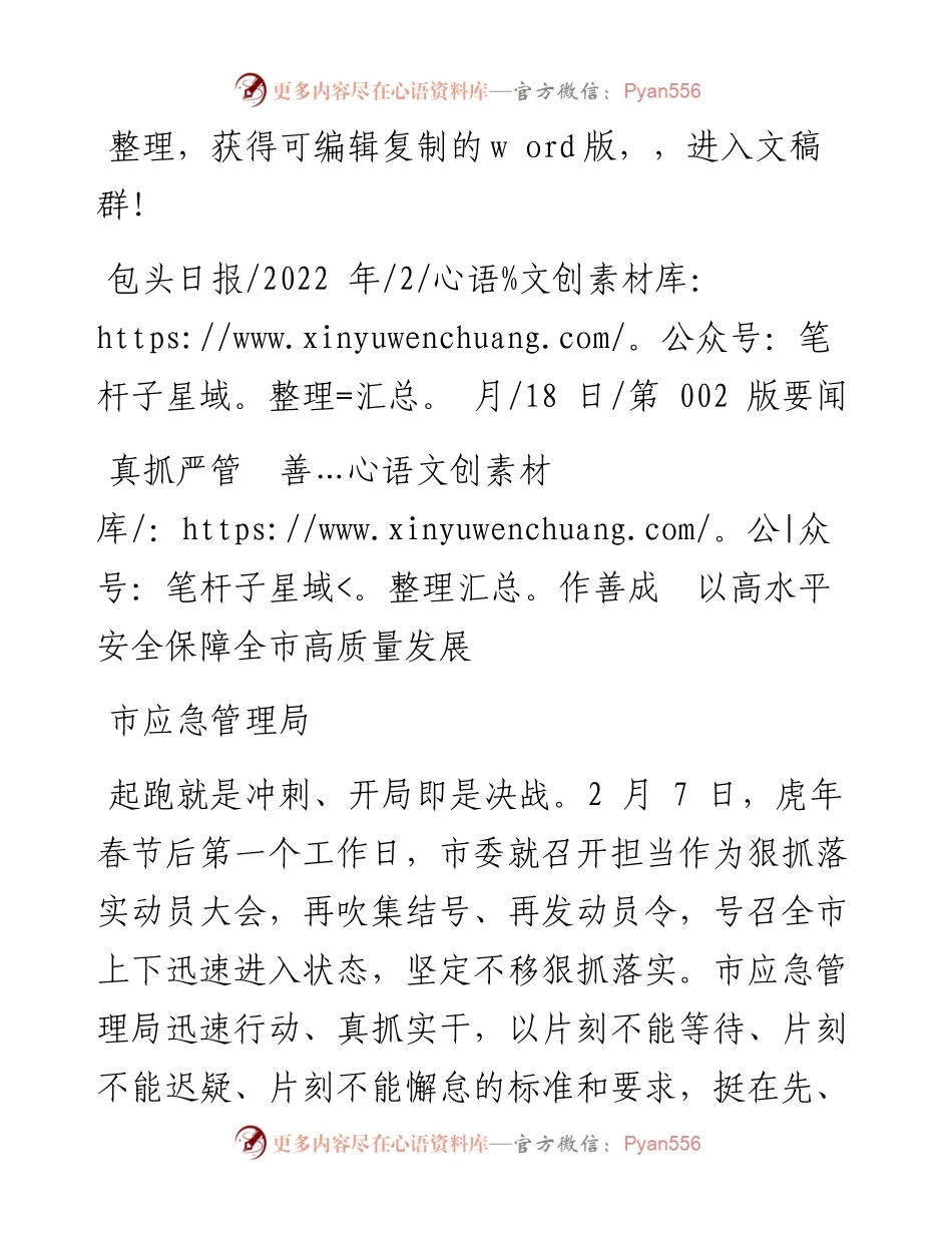 市应急管理局：真抓严管善作善成以高水平安全保障全市高质量发展.docx_第1页