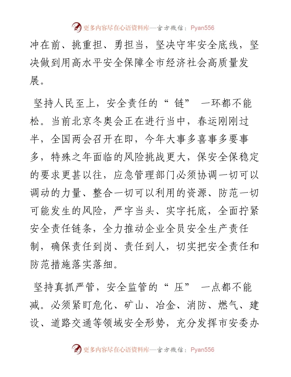 市应急管理局：真抓严管善作善成以高水平安全保障全市高质量发展.docx_第2页