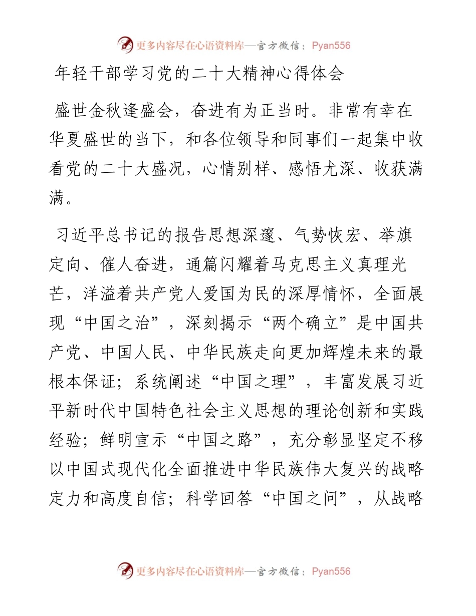 年轻干部学习党的二十大精神心得体会.docx_第1页