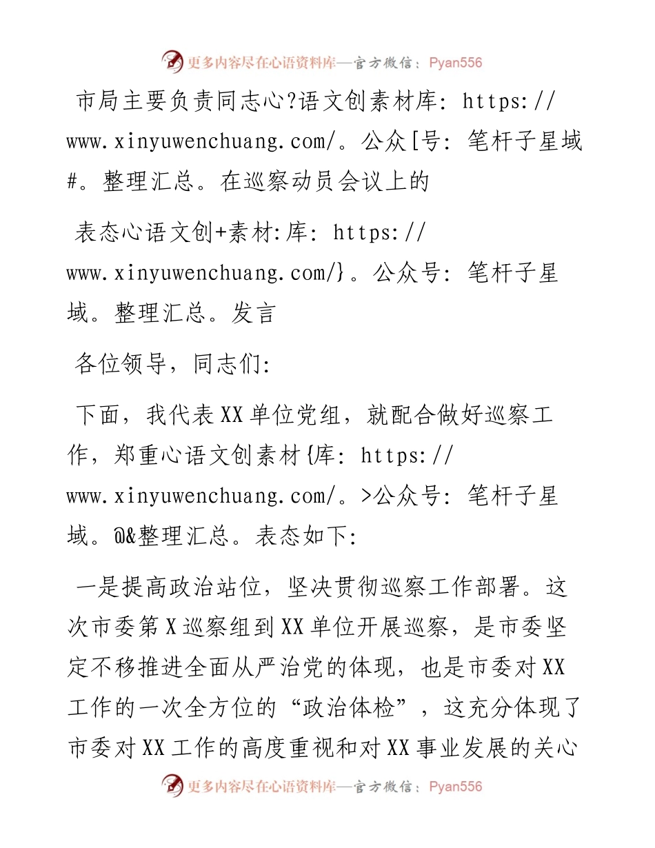 市局主要负责同志在巡察动员会议上的表态发言.docx_第1页