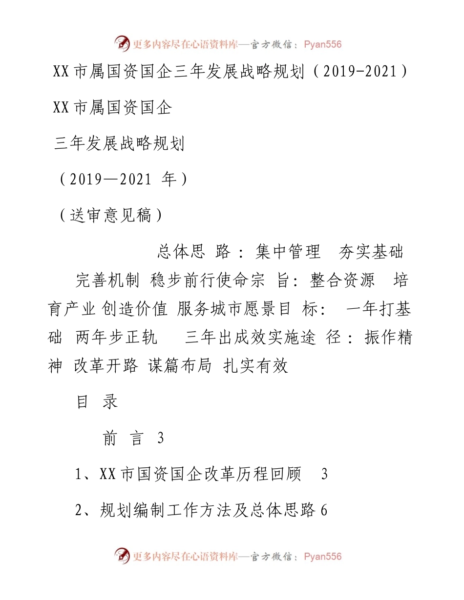 市属国资国企三年发展战略规划.docx_第1页