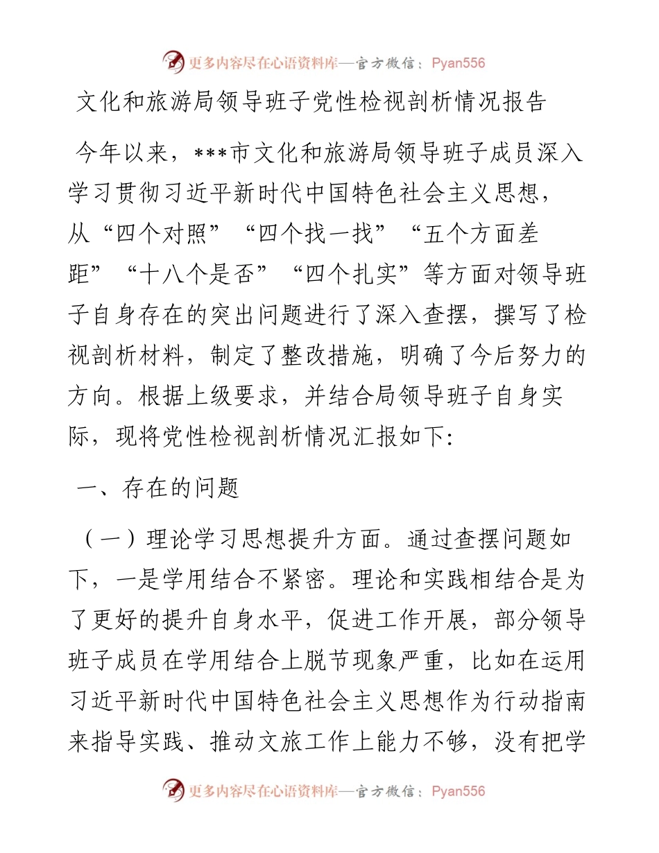 文化和旅游局领导班子党性检视剖析情况报告.docx_第1页