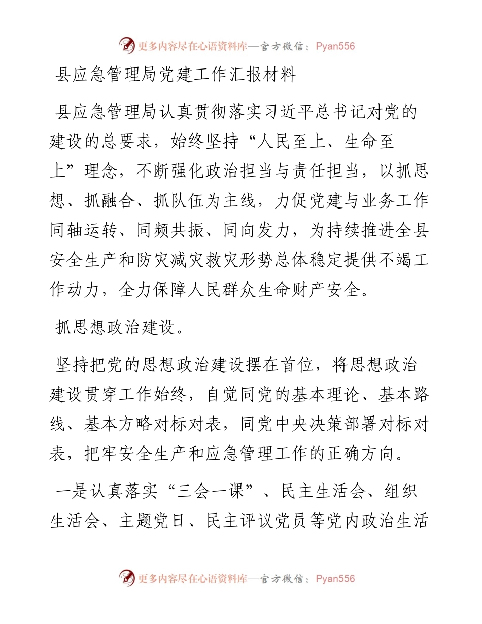 应急管理系统党建工作总结汇报.docx_第1页