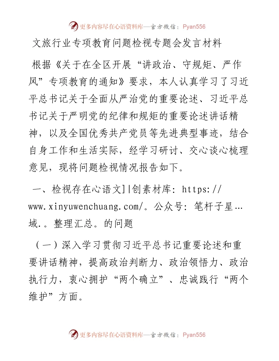文旅行业专项教育问题检视专题会发言材料.docx_第1页