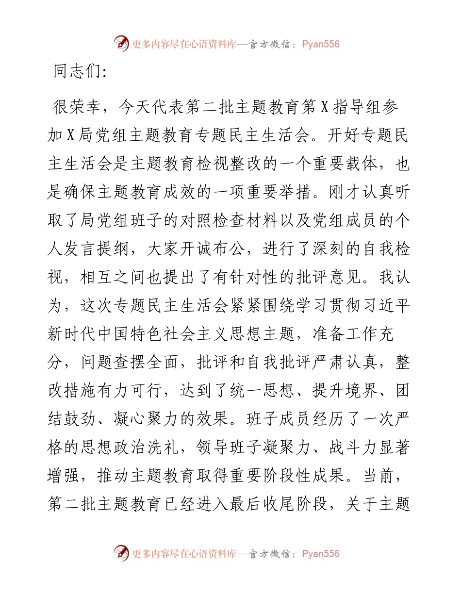 指导组在第二批主题教育专题民主生活会上的点评讲话提纲.docx_第1页