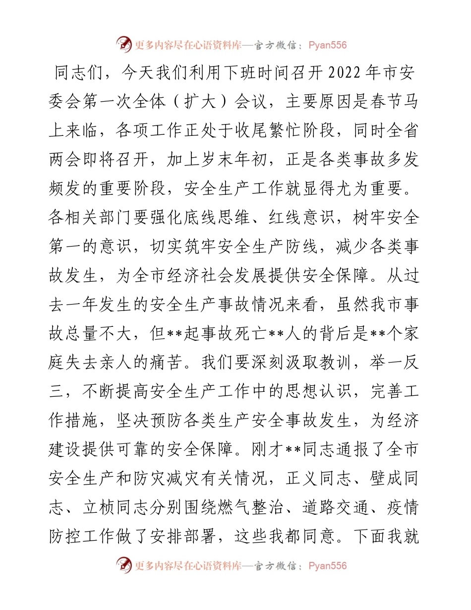 市长在市安委会第一次全体（扩大）会议上的讲话.docx_第1页