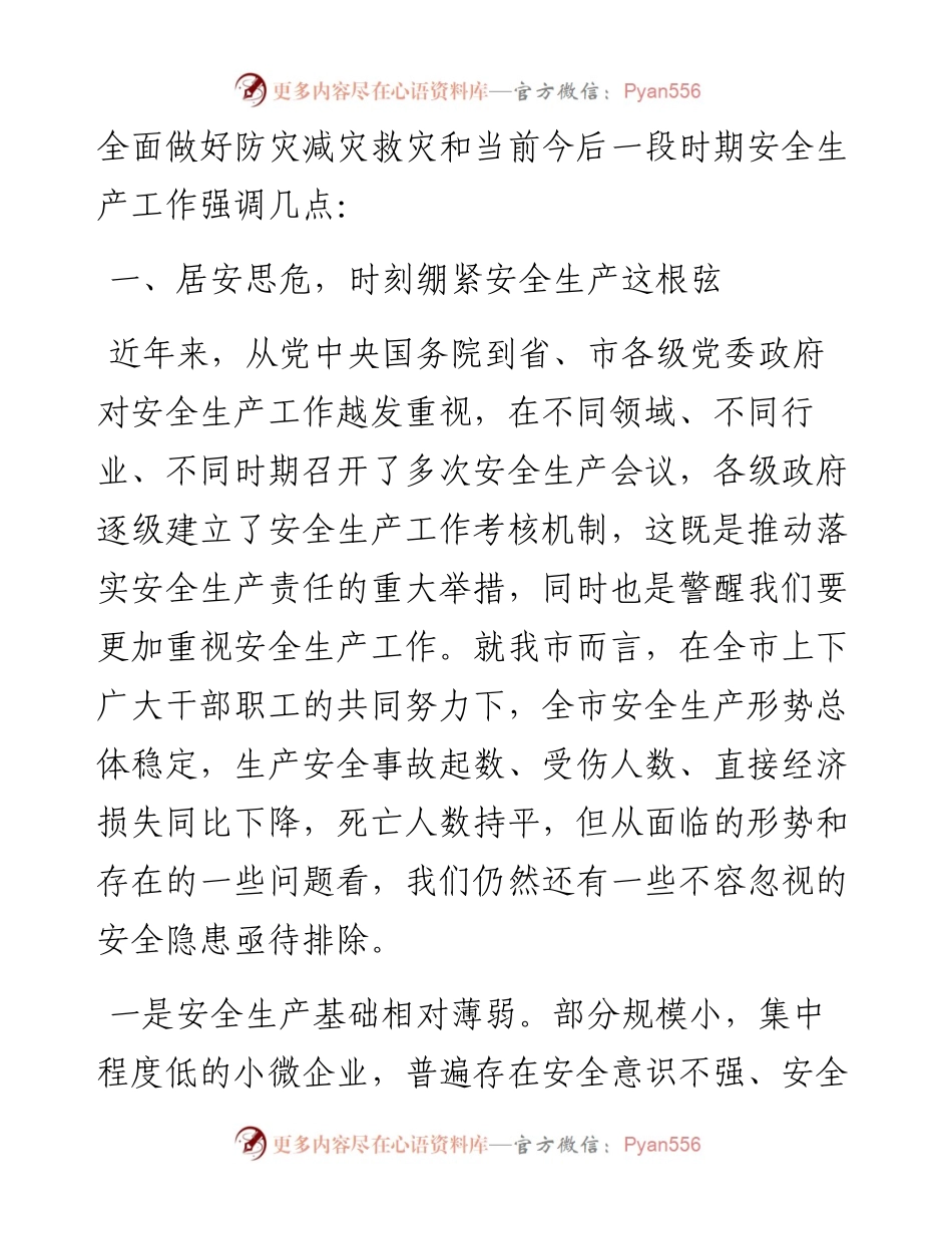 市长在市安委会第一次全体（扩大）会议上的讲话.docx_第2页