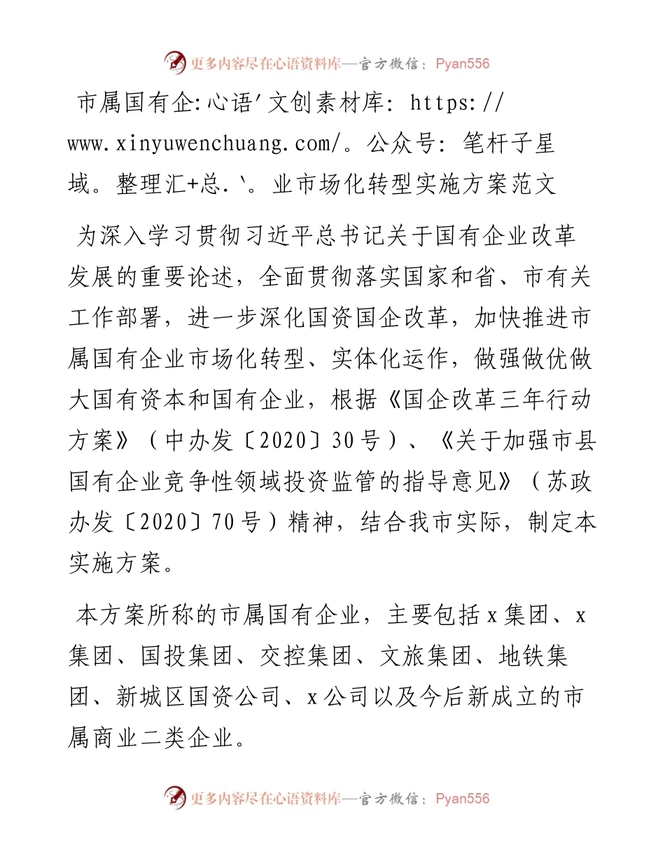 市国有企业市场化转型实施方案（集团公司）.docx_第1页