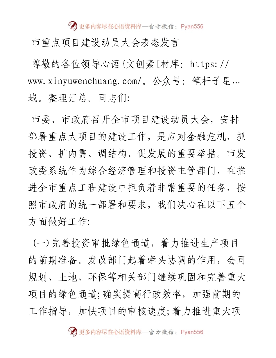 市重点项目建设动员大会表态发言.docx_第1页
