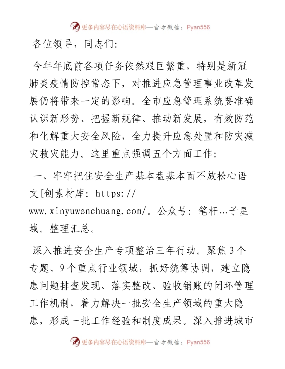 市应急管理局副局长在全市应急管理系统重点工作部署会上的讲话.docx_第1页