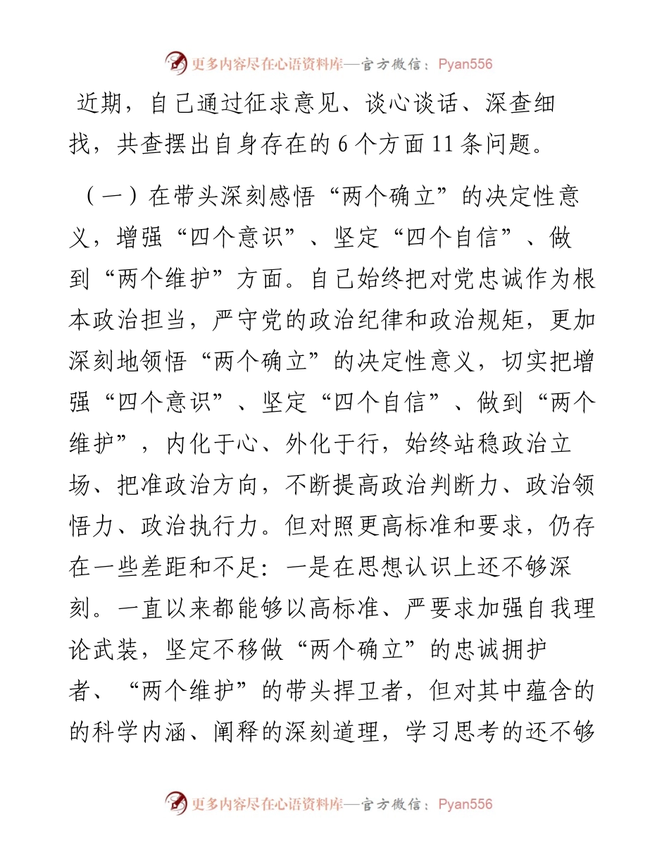 常务副县长度民主生活会发言提纲.docx_第2页