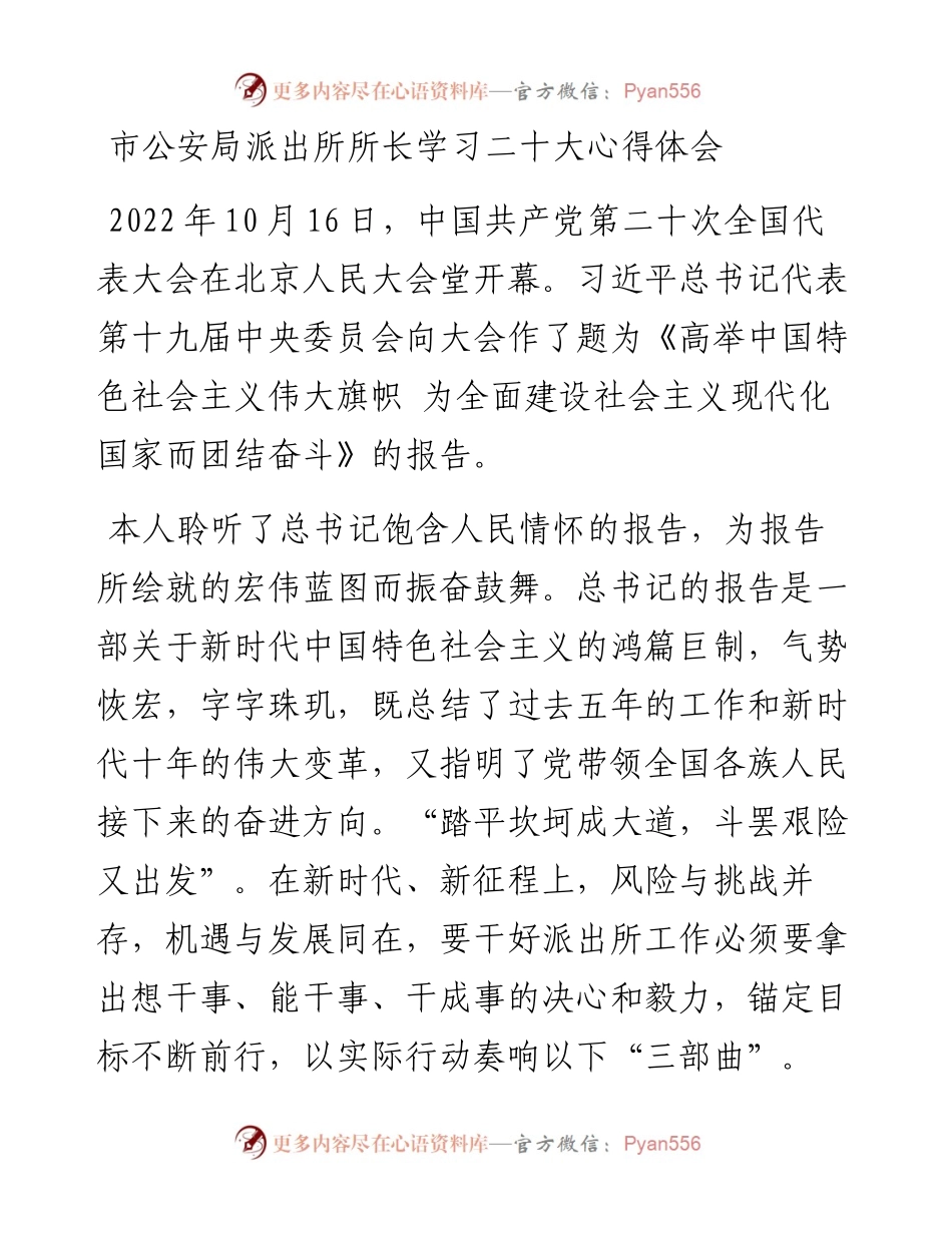 市公安局派出所所长学习党的二十大精神心得体会.docx_第1页