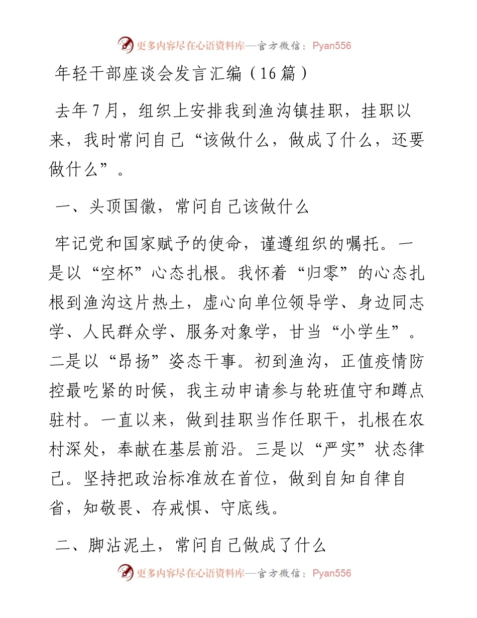年轻干部座谈会发言汇编（16篇）.docx_第1页