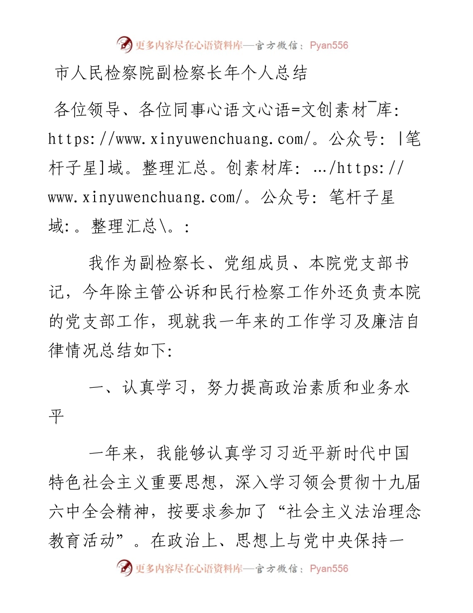 市人民检察院副检察长年个人总结.docx_第1页