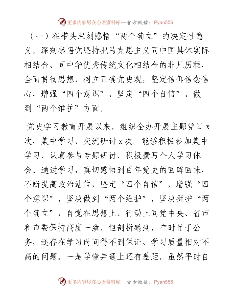 市长党史学习教育专题民主生活会个人对照检查材料（五个带头）.docx_第2页