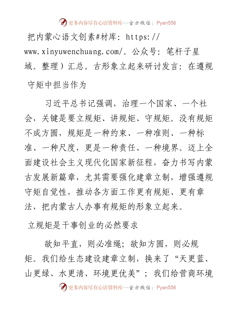 把内蒙古形象立起来研讨发言：在遵规守矩中担当作为.docx_第1页