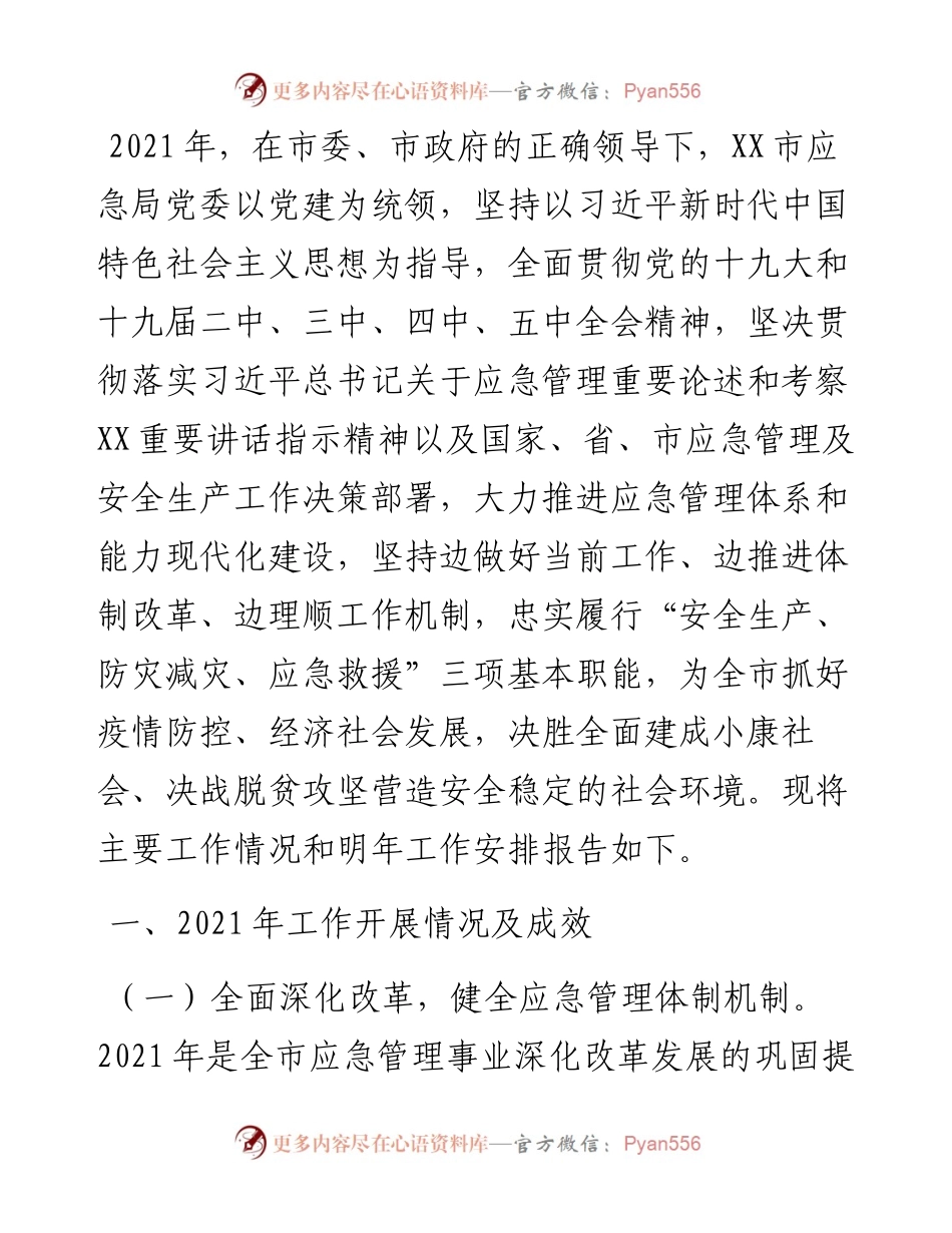市应急管理局度应急管理工作总结.docx_第1页