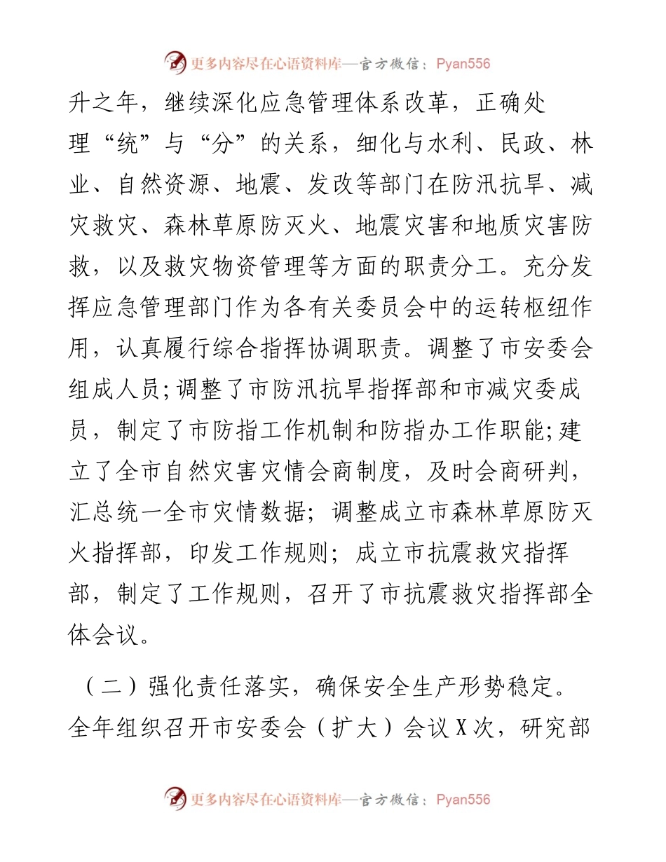 市应急管理局度应急管理工作总结.docx_第2页
