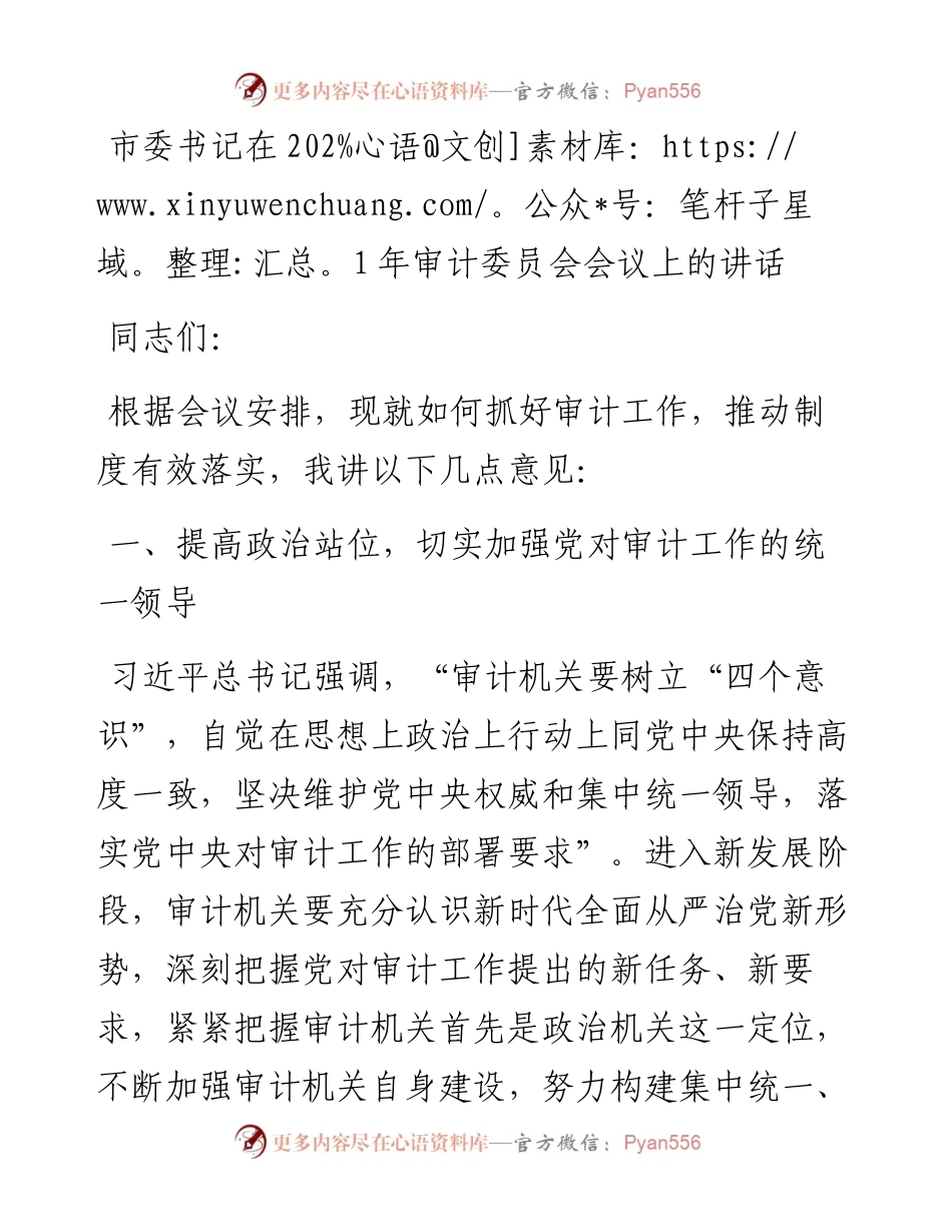 市委书记在审计委员会会议上的讲话发言材料.docx_第1页