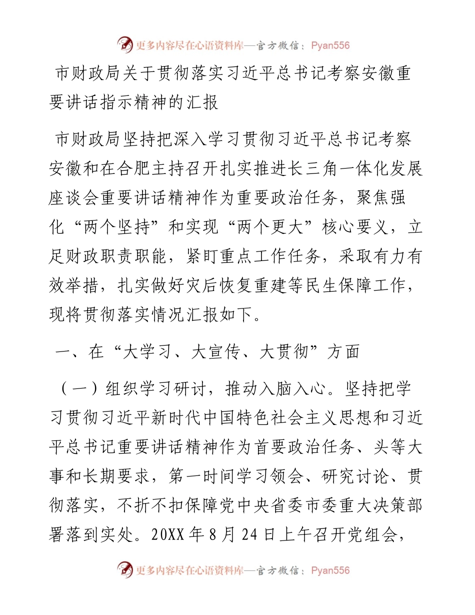 市财政局（国资委）关于贯彻落实习近平总书记考察安徽重要讲话指示精神的汇报(1).docx_第1页