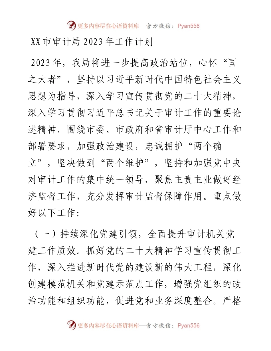 市审计局2023年工作计划.docx_第1页