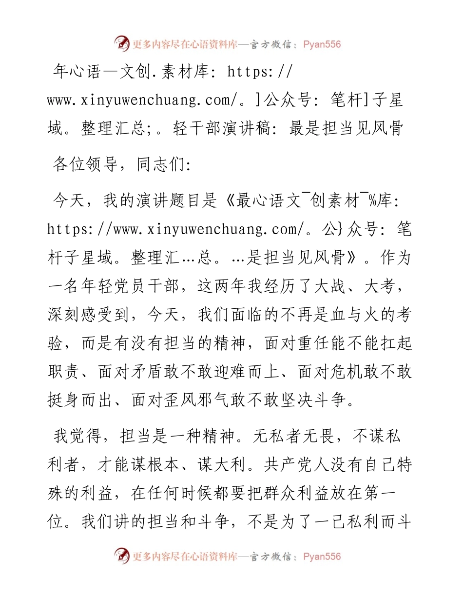 年轻干部演讲稿：最是担当见风骨.docx_第1页