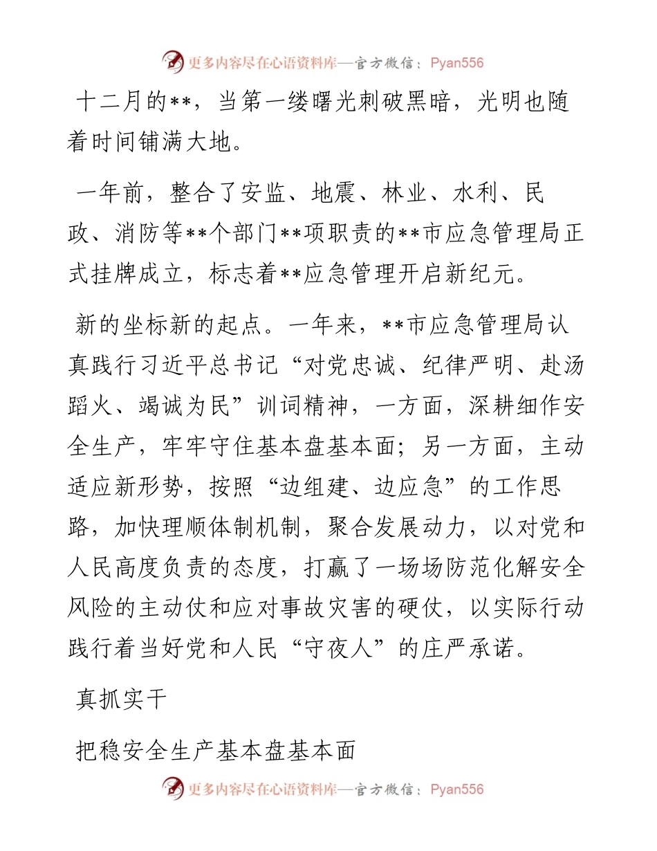 市应急管理局成立一周年回顾.docx_第1页