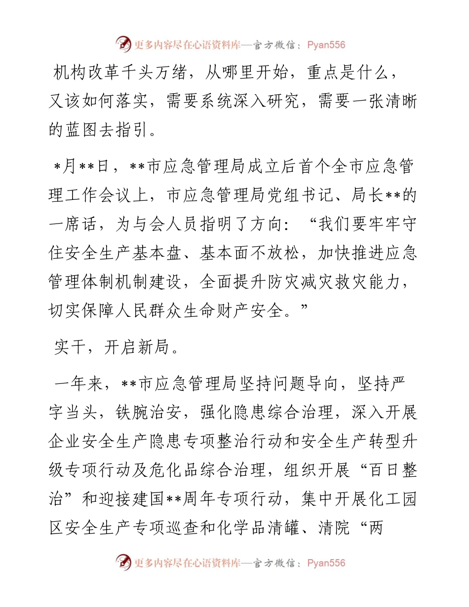 市应急管理局成立一周年回顾.docx_第2页