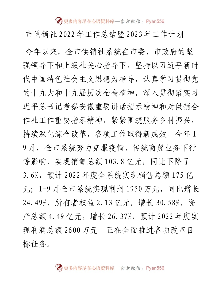 市供销社工作总结暨2023年工作计划(1102).docx_第1页