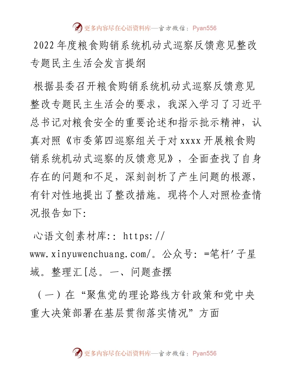 度粮食购销系统机动式巡察反馈意见整改专题民主生活会发言提纲.docx_第1页