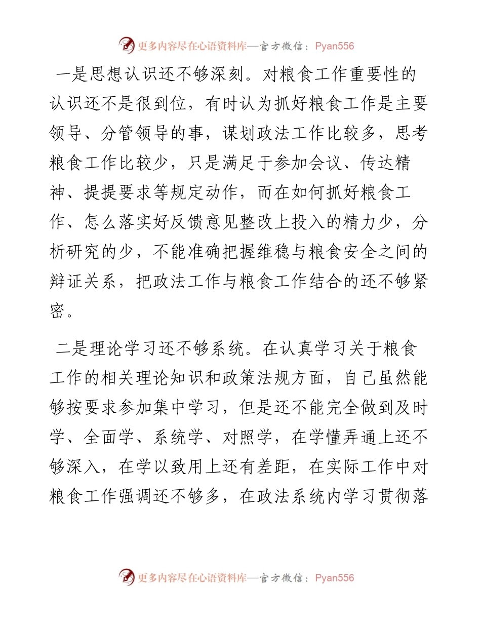 度粮食购销系统机动式巡察反馈意见整改专题民主生活会发言提纲.docx_第2页